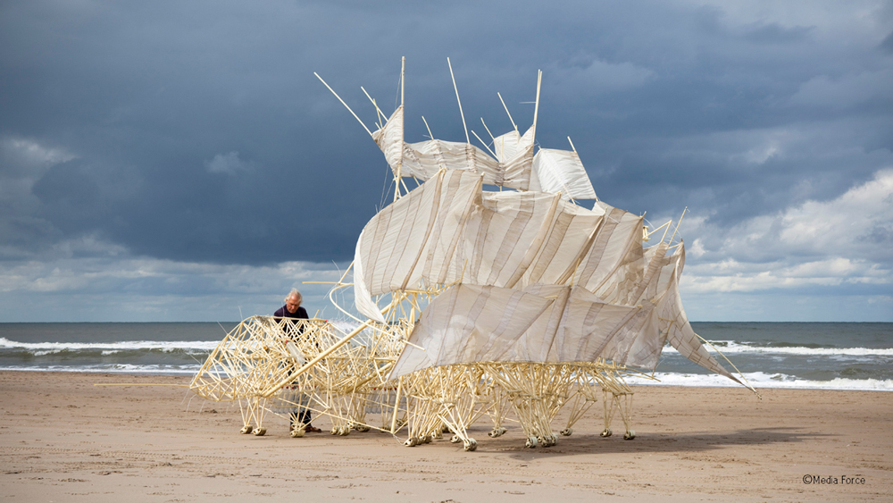 テオ・ヤンセンとストランドビーストの写真
